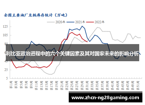 利比亚政治进程中的六个关键因素及其对国家未来的影响分析