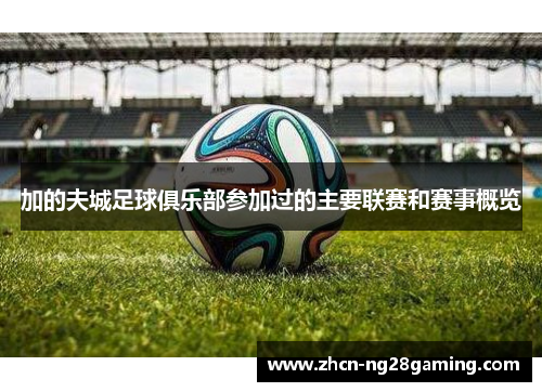 加的夫城足球俱乐部参加过的主要联赛和赛事概览 加的夫城足球俱乐部参加过的主要联赛和赛事概览