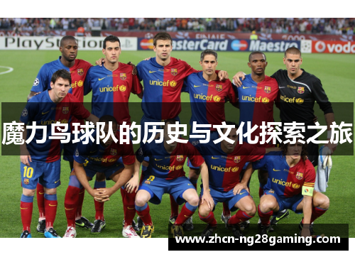 魔力鸟球队的历史与文化探索之旅