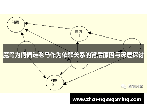 魔鸟为何偏选老马作为依赖关系的背后原因与深层探讨