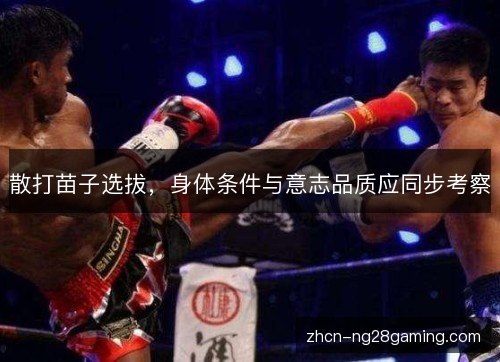 散打苗子选拔,身体条件与意志品质应同步考察 散打苗子选拔,身体条件与意志品质应同步考察
