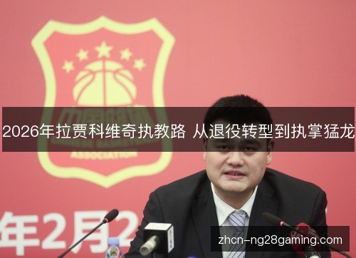 2026年拉贾科维奇执教路 从退役转型到执掌猛龙 2026年拉贾科维奇执教路 从退役转型到执掌猛龙